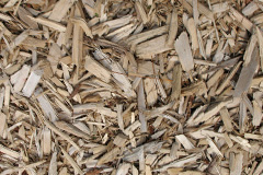 biomass boilers Alvediston